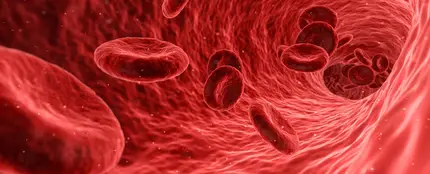 Foto ampliada de los glóbulos rojos de la sangre Foto ampliada de los glóbulos rojos de la sangre