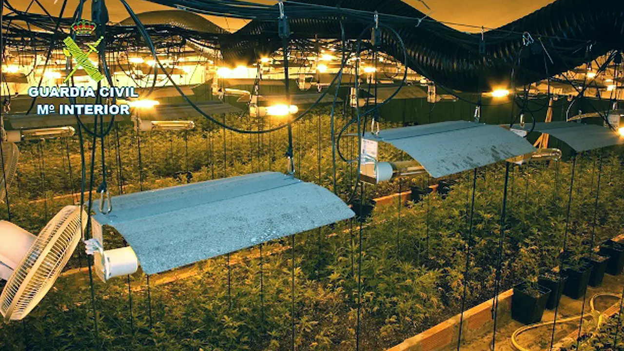 Fotografía facilitada por la Guardia Civil del desmantelamiento de una organización dedicada al cultivo de marihuana en Llinars del Vallès, Barcelona Fotografía facilitada por la Guardia Civil del desmantelamiento de una organización dedicada al cultivo de marihuana en Llinars del Vallès, Barcelona