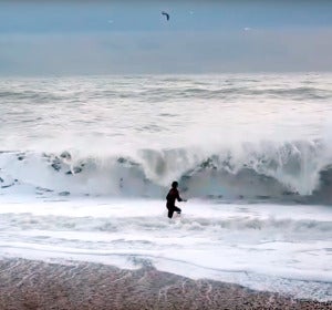 Intenta salvar a su perro de las olas Intenta salvar a su perro de las olas