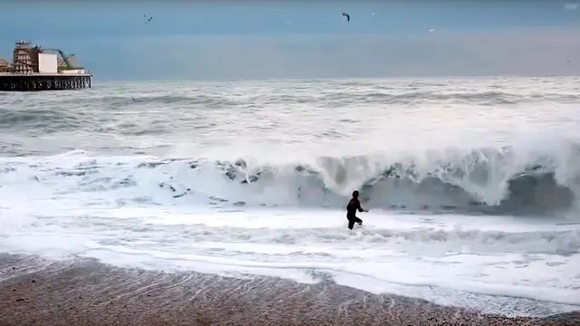 Intenta salvar a su perro de las olas