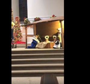 Una niña roba el niño Jesús de un belén y se pelea con la Virgen Una niña roba el niño Jesús de un belén y se pelea con la Virgen