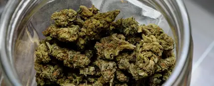 Marihuana Marihuana