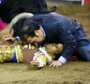 El hermano de un torero arriesga su vida para protegerlo de las cornadas El hermano de un torero arriesga su vida para protegerlo de las cornadas