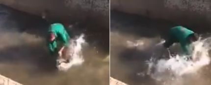Un hombre golpea y ahoga a un jabalí 