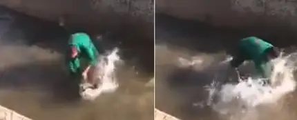 Un hombre golpea y ahoga a un jabalí Un hombre golpea y ahoga a un jabalí