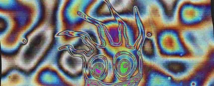 Videoclip Calvin Harris 'Nuh nuh ready' Videoclip Calvin Harris 'Nuh nuh ready'