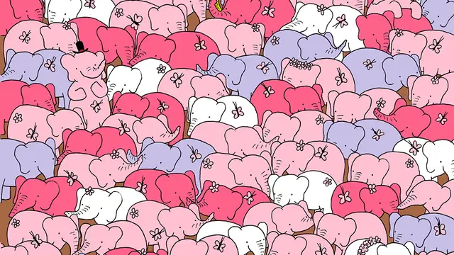 ¿Encuentras el corazón entre los elefantes?