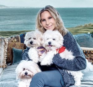 Barbra Streisand posa junto a sus tres mascotas Barbra Streisand posa junto a sus tres mascotas