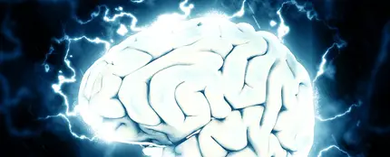 Foto de archivo del cerebro humano Foto de archivo del cerebro humano