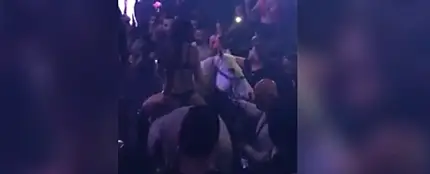 Meten un caballo en una discoteca de Miami Meten un caballo en una discoteca de Miami