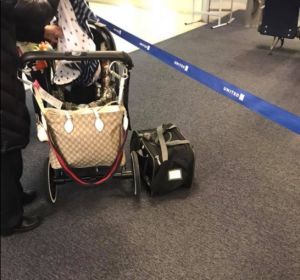 El transportín donde viajaba Papito El transportín donde viajaba Papito
