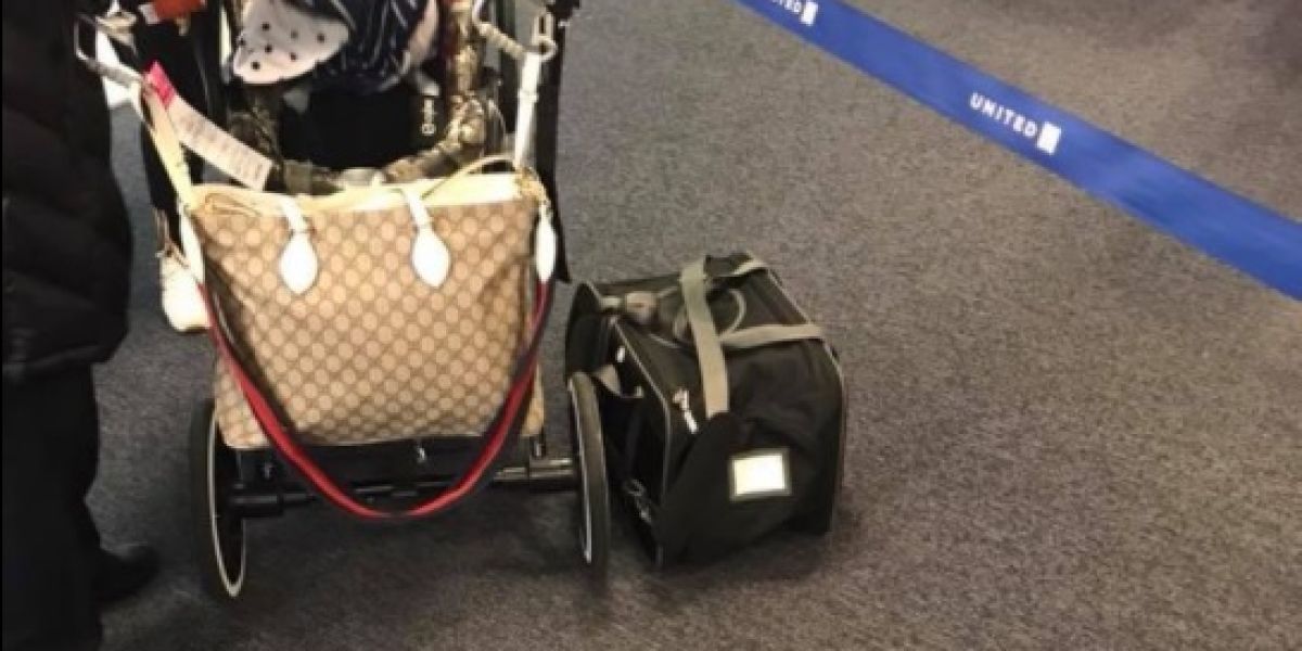 El transportín donde viajaba Papito