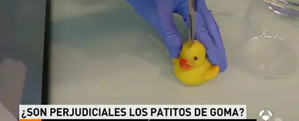 ¿Son perjudiciales los patitos de goma? ¿Son perjudiciales los patitos de goma?