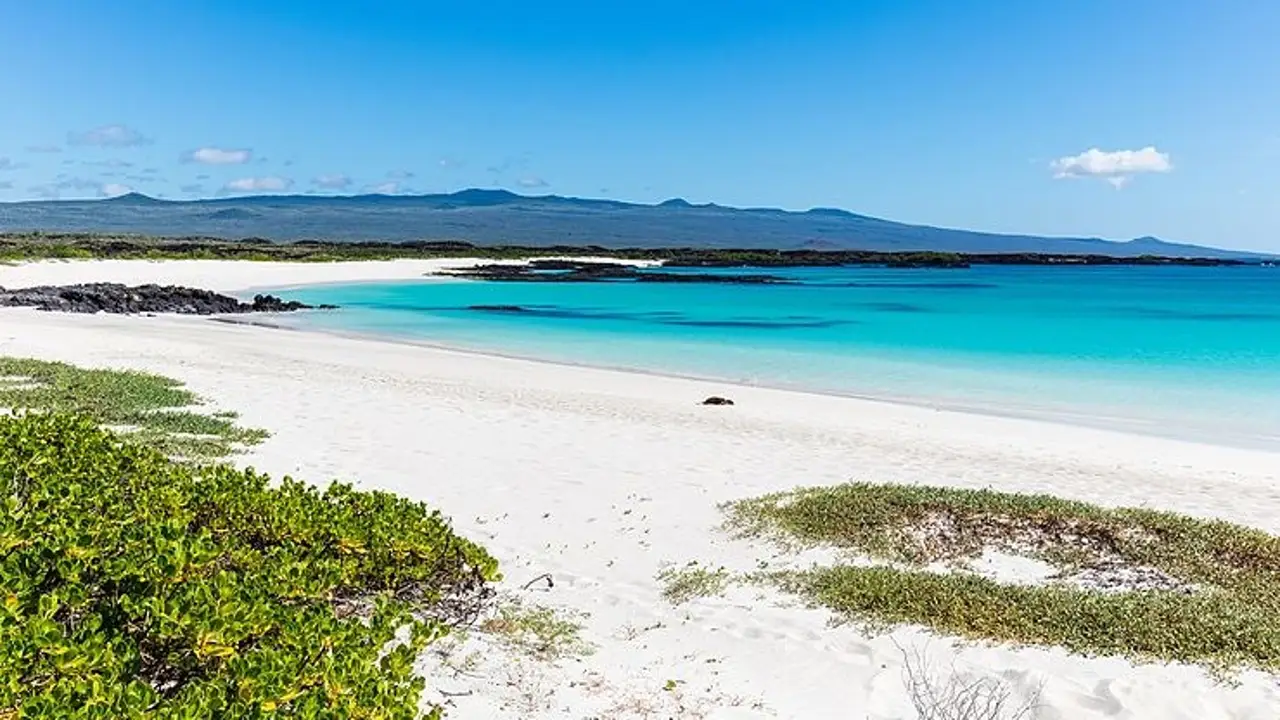 Islas Galápagos Islas Galápagos