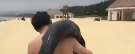 Un hombre pasea por la playa con un delfín Un hombre pasea por la playa con un delfín