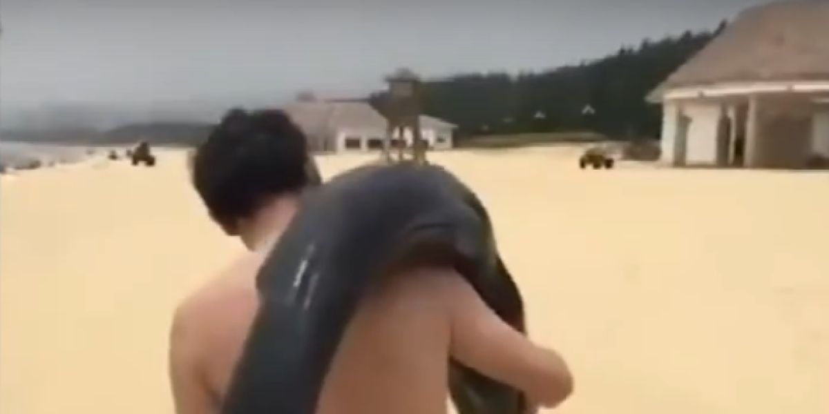 Un hombre pasea por la playa con un delfín