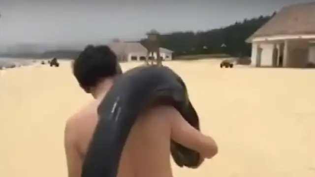 Un hombre pasea por la playa con un delfín
