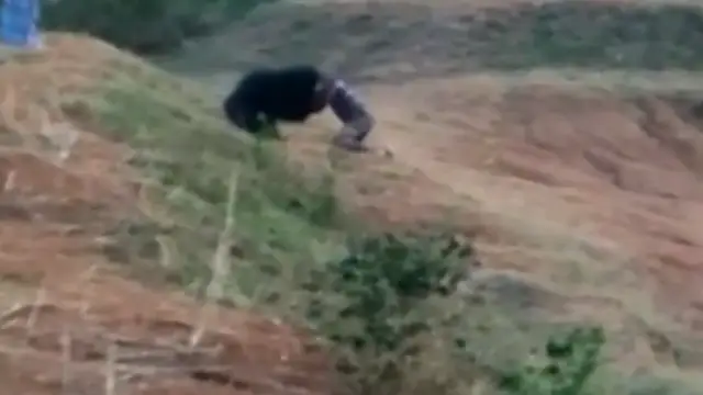 Un oso mata a un taxista en India