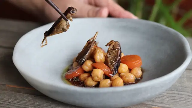 Insectos para comer