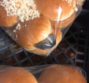 Un ratón dentro de una bolsa de pan de hamburguesa Un ratón dentro de una bolsa de pan de hamburguesa