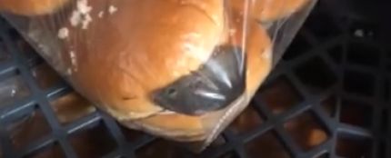 Un ratón dentro de una bolsa de pan de hamburguesa