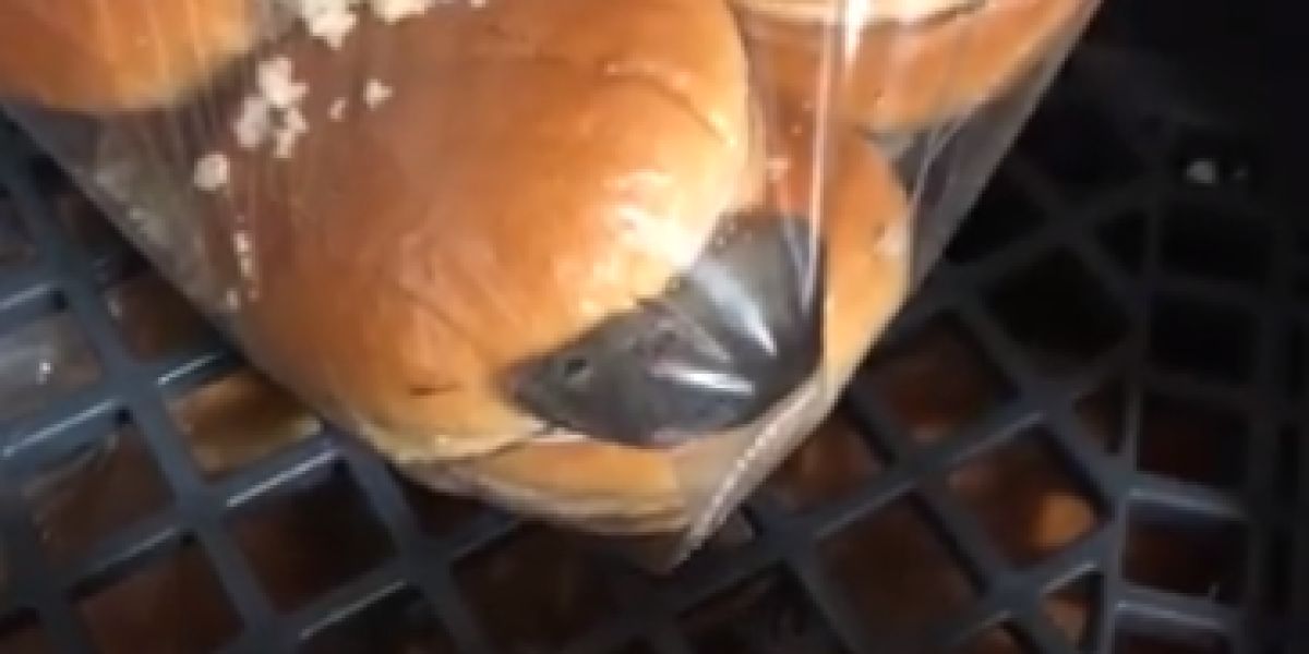 Un ratón dentro de una bolsa de pan de hamburguesa