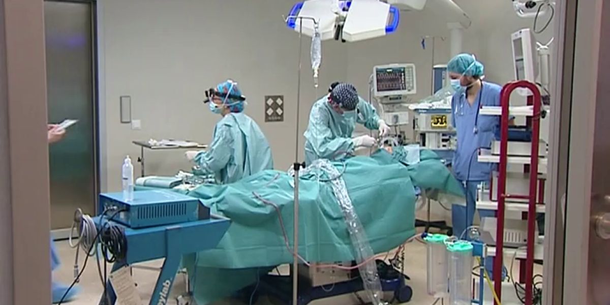 La falta de médicos se notará este verano