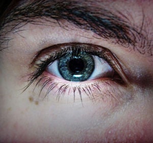 Ninguna investigación ha arrojados resultados suficientes para afirmar que la luz azul dañe los ojos Ninguna investigación ha arrojados resultados suficientes para afirmar que la luz azul dañe los ojos