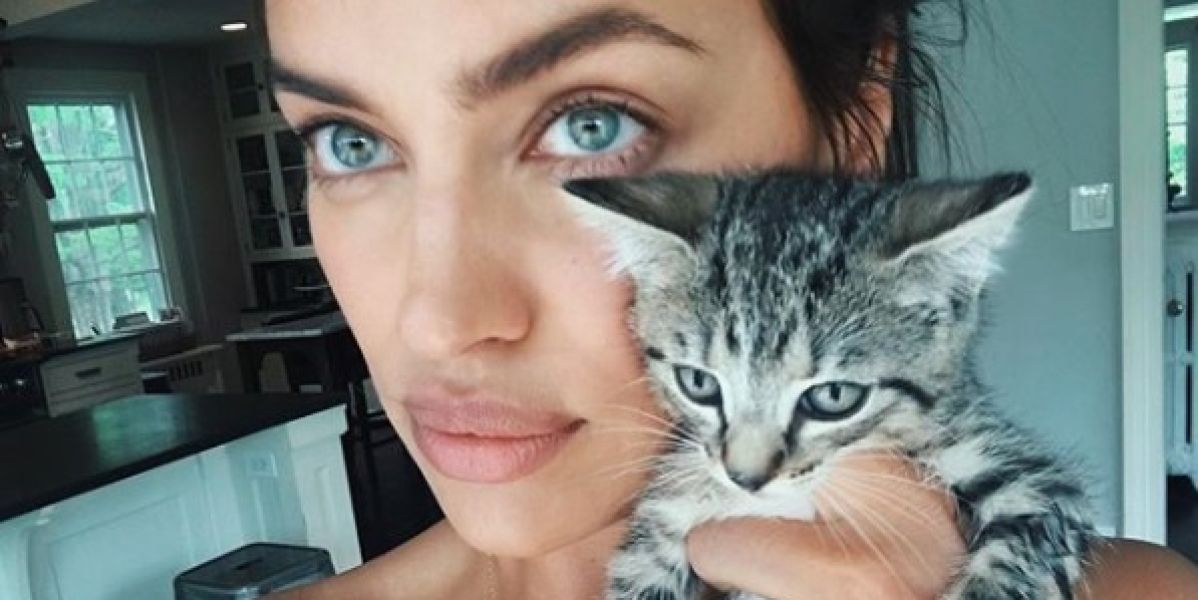 Irina Shayk con un gatito