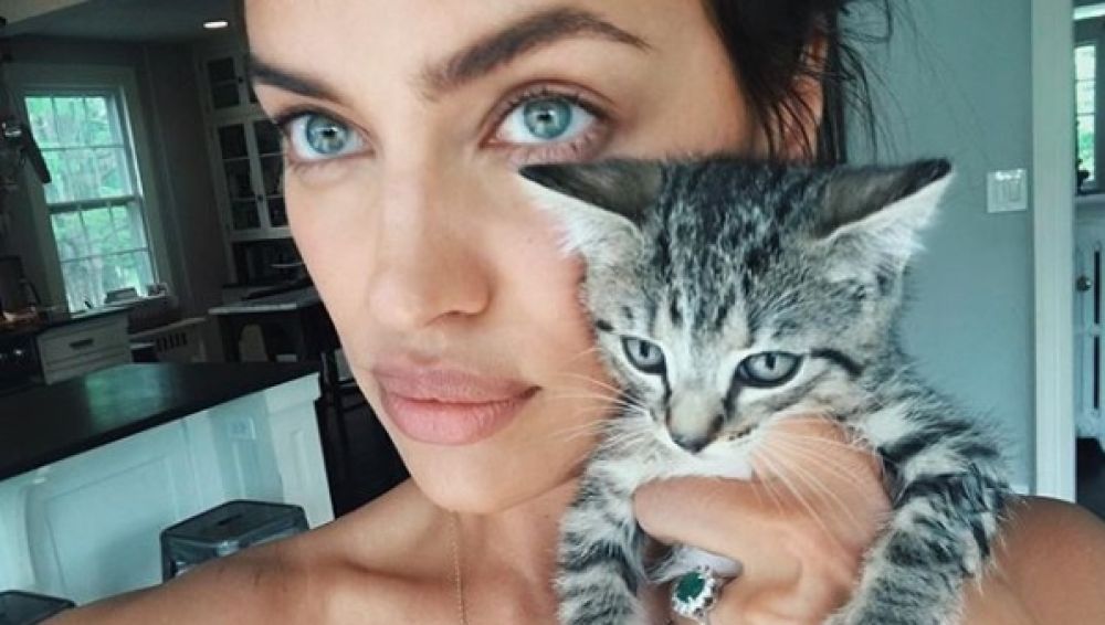 Irina Shayk con un gatito