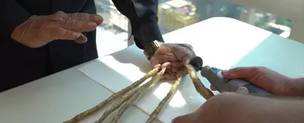Las uñas más largas del mundo Las uñas más largas del mundo