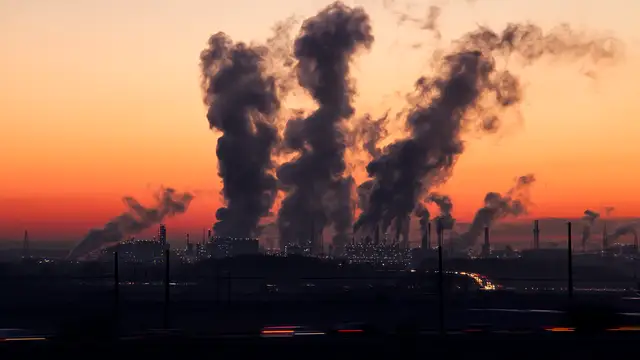 La contaminación ambiental daña la salud neurológica