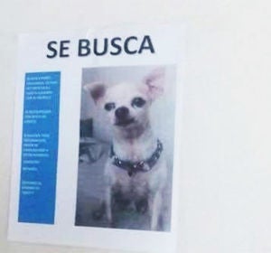 El cartel de 'se busca' que ha creado un gran cachondeo en Twitter El cartel de 'se busca' que ha creado un gran cachondeo en Twitter