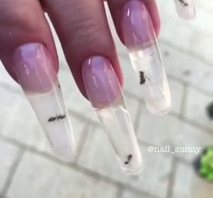 Una nueva moda indigna Rusia: hormigas vivas dentro de las uñas Una nueva moda indigna Rusia: hormigas vivas dentro de las uñas