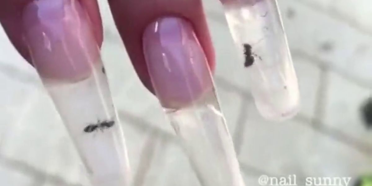 Una nueva moda indigna Rusia: hormigas vivas dentro de las uñas