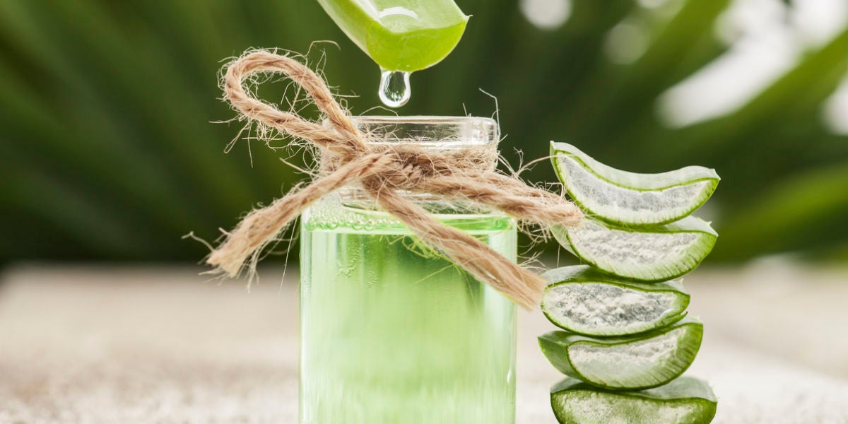 Aloe vera