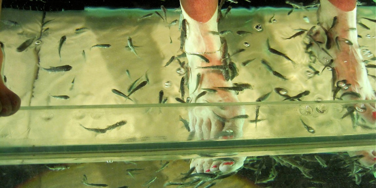 Pedicura con peces