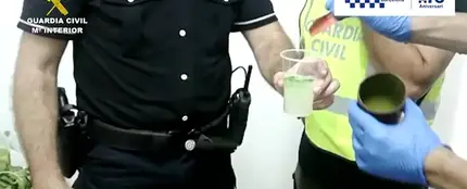 Intervienen en Barcelona ingredientes utilizados para hacer mojitos contaminados con la bacteria 'E.coli' Intervienen en Barcelona ingredientes utilizados para hacer mojitos contaminados con la bacteria 'E.coli'