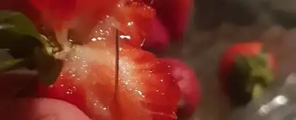 Fresas con agujas Fresas con agujas