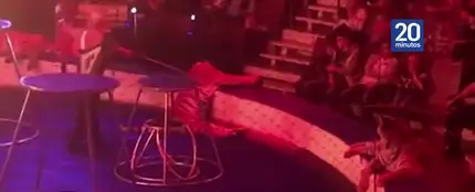 Una tigresa sufre convulsiones en el circo Una tigresa sufre convulsiones en el circo