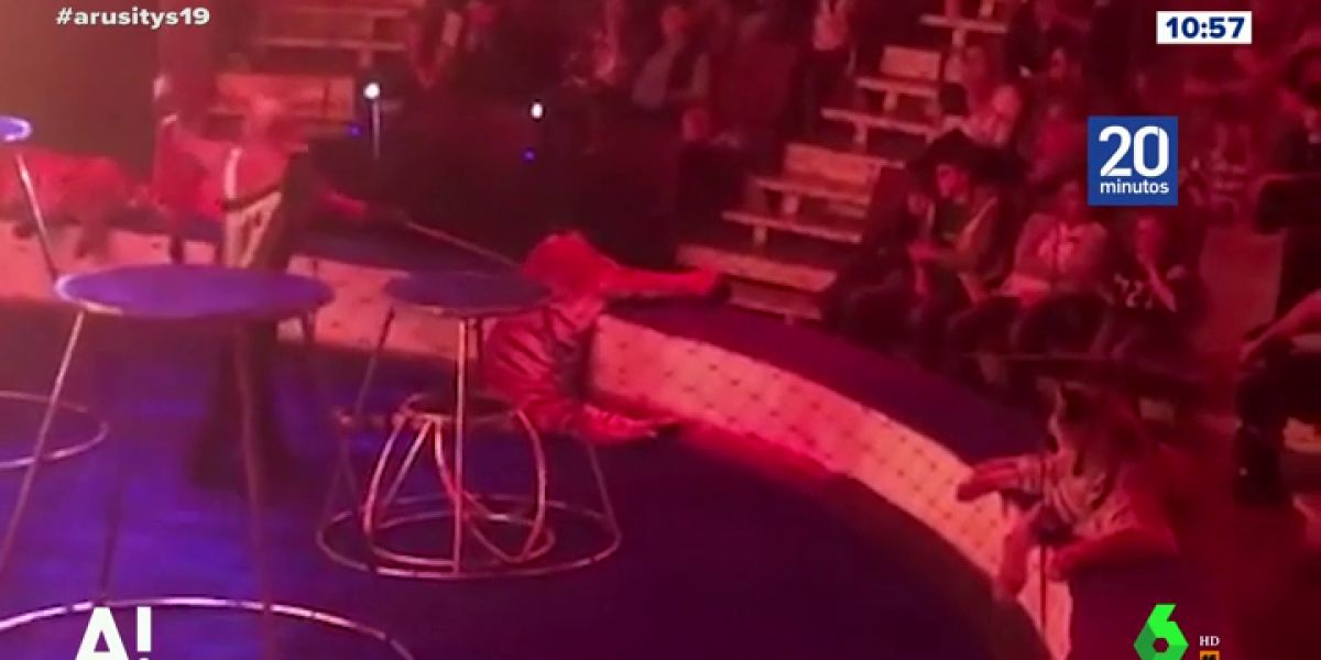 Una tigresa sufre convulsiones en el circo