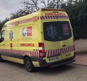 Mueren una madre y su hija tras ser atacadas por sus perros en Colmenar de Oreja, en Madrid Mueren una madre y su hija tras ser atacadas por sus perros en Colmenar de Oreja, en Madrid