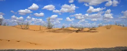 Desierto Desierto
