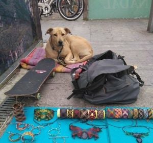 Sota, la perra abatida por un disparo de la Guardia Urbana Sota, la perra abatida por un disparo de la Guardia Urbana
