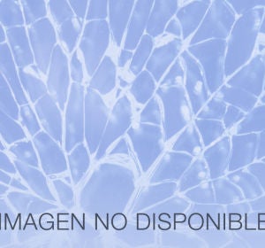 Imagen no disponible Imagen no disponible