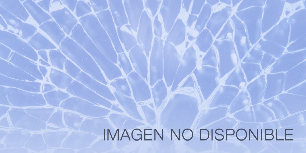 Imagen no disponible
