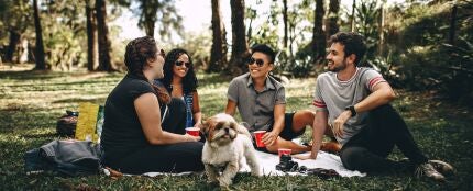 Un grupo de amigos en el parque