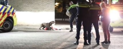 Unos agentes controlan sin lastimar a un perro que no quería separarse de su dueña que estaba inconsciente 