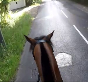 Sancionan con más de mil euros a un ciclista que adelantó a un caballo de manera temeraria Sancionan con más de mil euros a un ciclista que adelantó a un caballo de manera temeraria