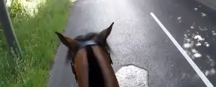 Sancionan con más de mil euros a un ciclista que adelantó a un caballo de manera temeraria Sancionan con más de mil euros a un ciclista que adelantó a un caballo de manera temeraria